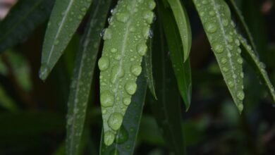 drop or retry decision