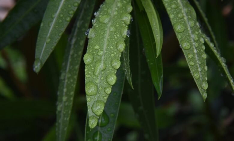 drop or retry decision