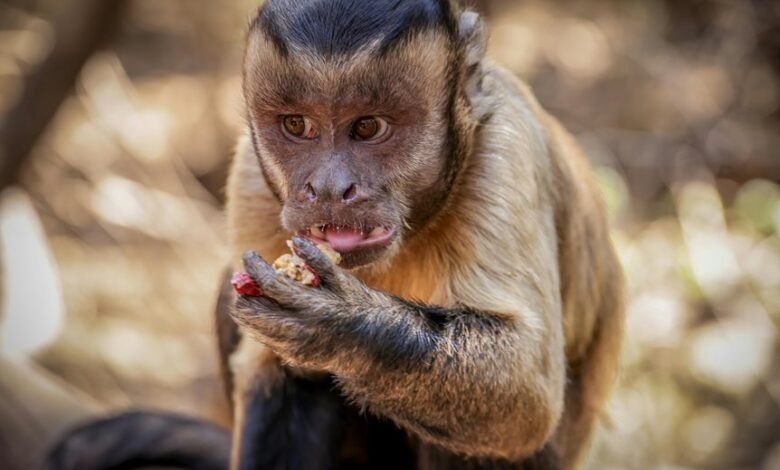 inbound retry mechanism details