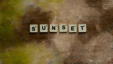 placeholder identifier 1752