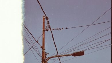 support line usage statistics