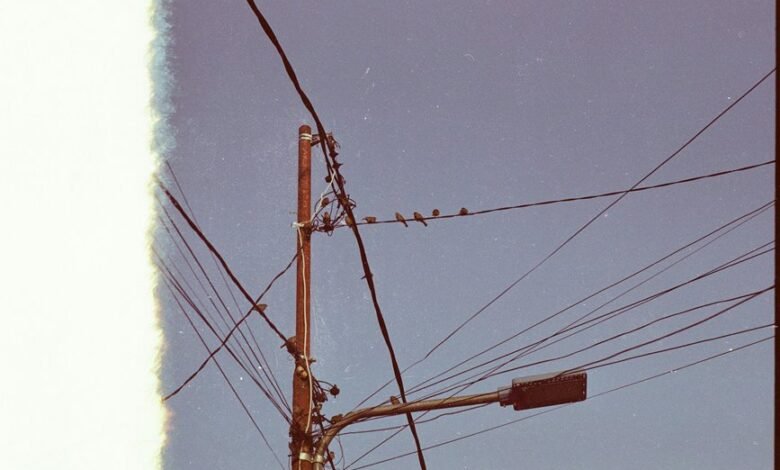 support line usage statistics