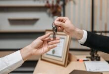 buy in for vezgieclaptezims