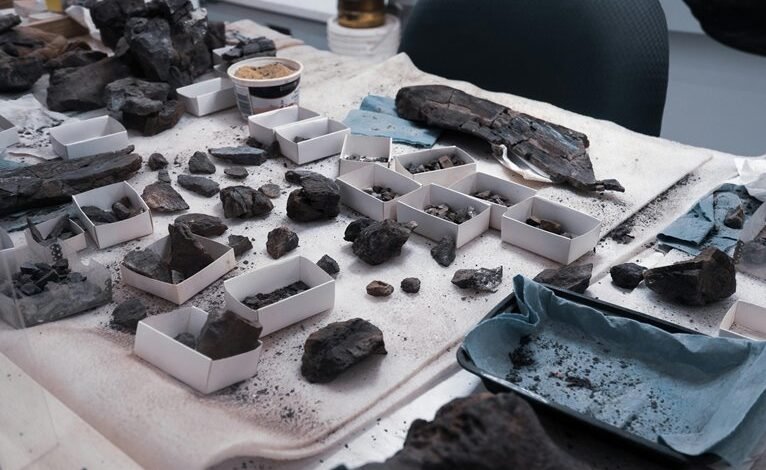 hizzaboloufazic s intriguing discovery