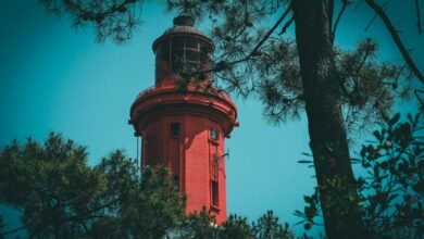 wurduxalgoilds is lead free